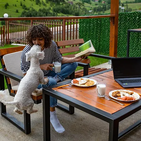 Chalet Brvnara Mir Zlatibor