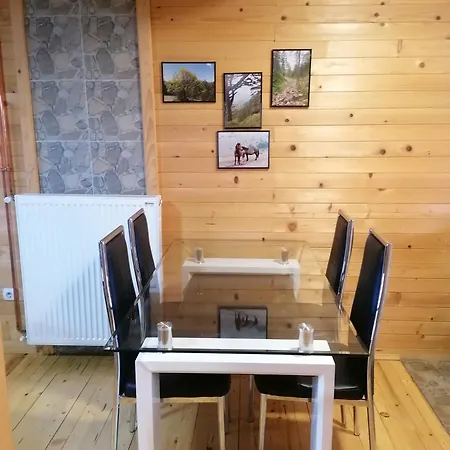 Chalet Brvnara Mir *