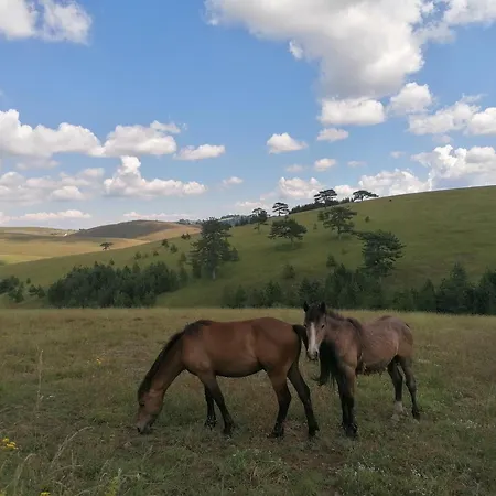 Brvnara Mir Zlatibor