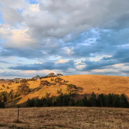 Brvnara Mir Zlatibor