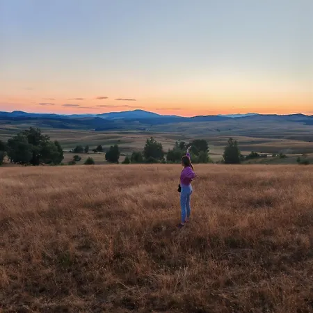 Brvnara Mir * Zlatibor