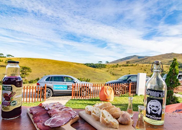 Brvnara Mir Dağ evi Zlatibor