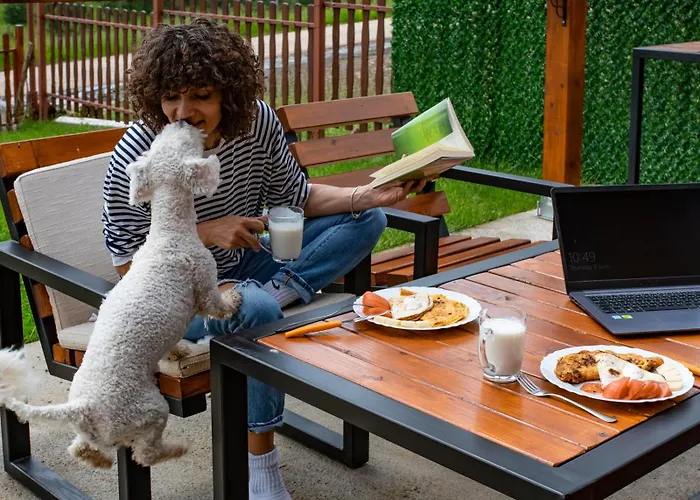 Dağ evi Brvnara Mir Zlatibor