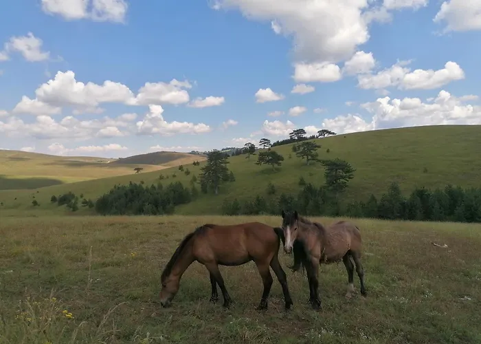 Brvnara Mir Zlatibor