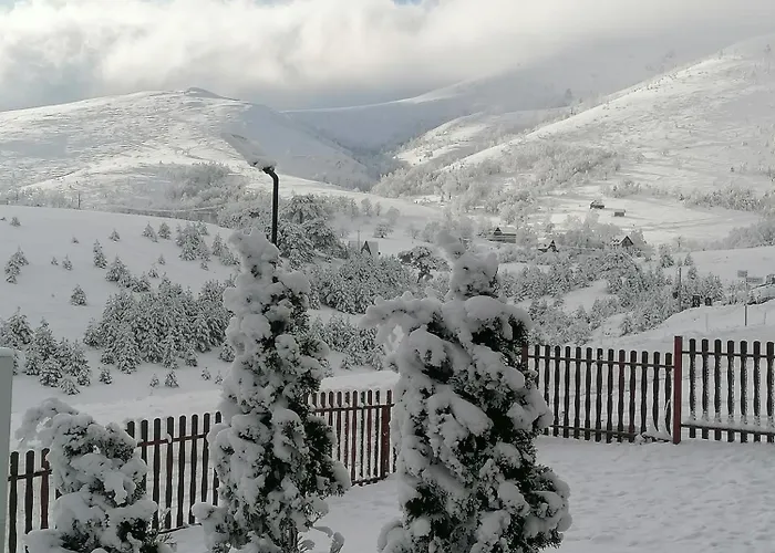 Brvnara Mir Dağ evi