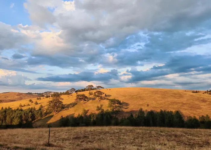 Brvnara Mir Zlatibor