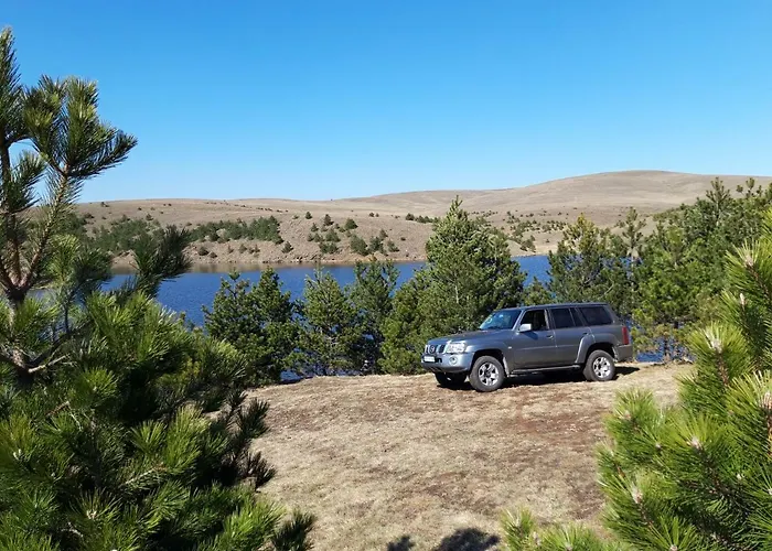 Brvnara Mir Dağ evi